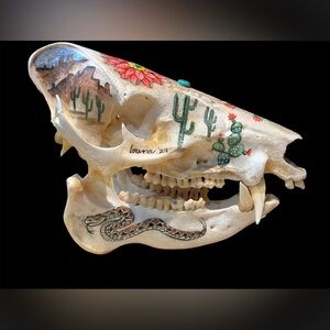 Real Javalina Peccary skull handpainted desert Southwest Arizona snake cactus
